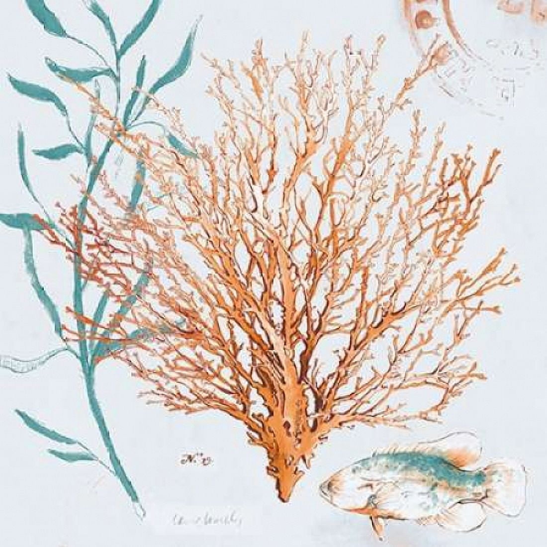 Blue Coral Medley II Canvas Art - Lanie Loreth (24 x 24)