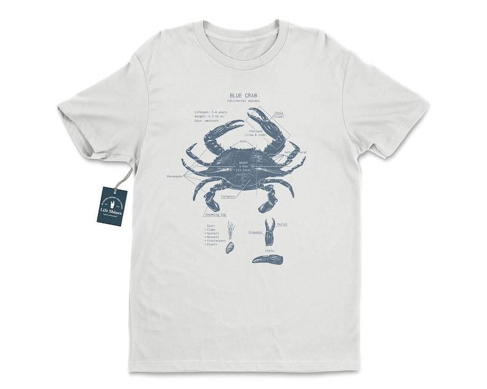 Blue Crab Anatomy T, Crab Fishing, Marine Biologist, Blue Crab Art