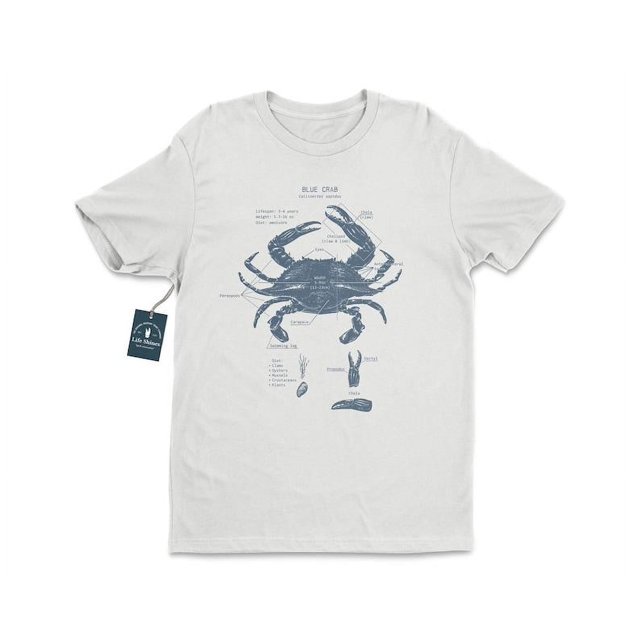 Blue Crab Anatomy T, Crab Fishing, Marine Biologist, Blue Crab Art