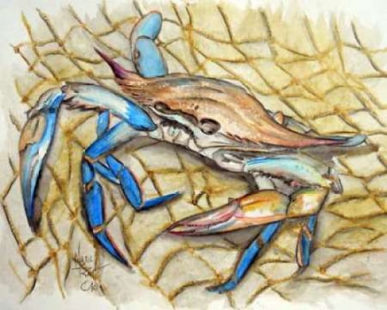 Blue Crab Canvas Art - Mark Ray (24 x 30)