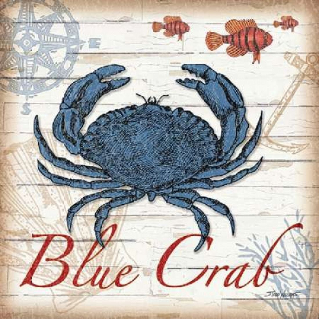 Blue Crab Canvas Art - Todd Williams (24 x 24)