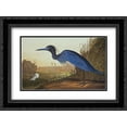 thumbnail image 1 of Blue Crane Or Heron 2x Matted 24x18 Black Ornate Framed Art Print by Audubon, John James, 1 of 2