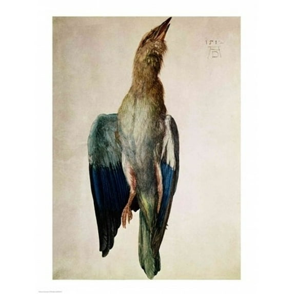 Blue Crow, 1512 Poster Print by Albrecht Durer (18 x 24)