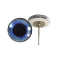 thumbnail image 1 of Blue Crow Glass Eyes on Wire Pin Posts, 1 of 3