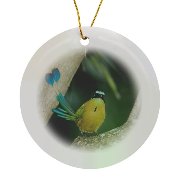 3drose, Blue-crowned Motmot Bird, Costa Rica - Na02 Rnu0396 - Rolf Nussbaumer, Circle Porcelain Ornament