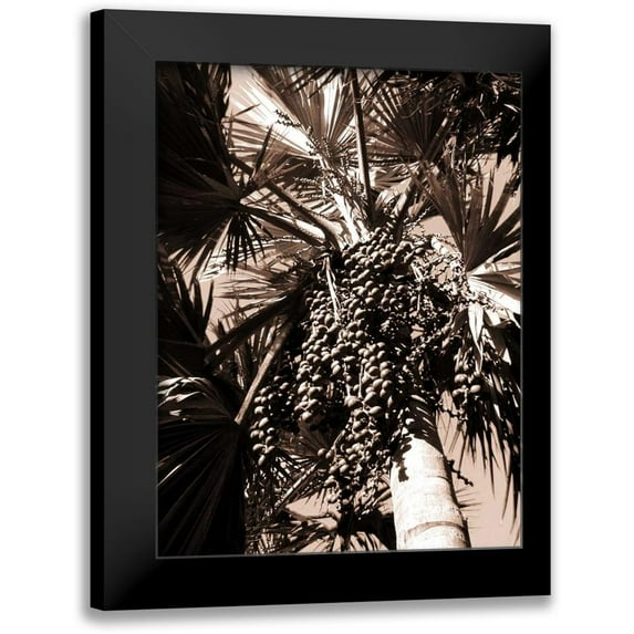 Blue, Cyril 12x14 Black Modern Framed Museum Art Print Titled - Date Palm, Mauritius