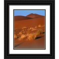 thumbnail image 1 of Blue, Cyril 15x18 Black Ornate Wood Framed with Double Matting Museum Art Print Titled - Grasses, Sand Dunes Sahara, 1 of 4