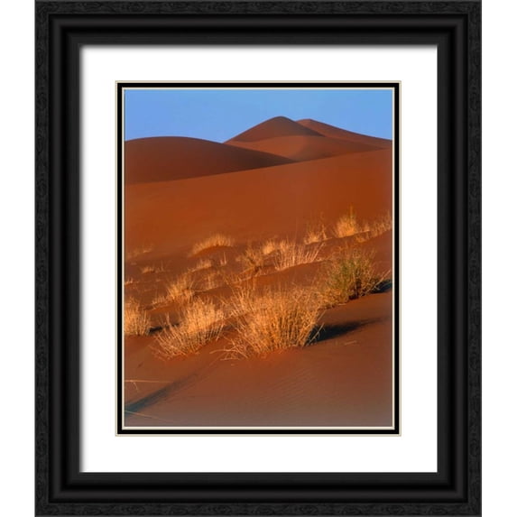 Blue, Cyril 15x18 Black Ornate Wood Framed with Double Matting Museum Art Print Titled - Grasses, Sand Dunes Sahara