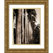 Blue, Cyril 19x24 Gold Ornate Wood Framed with Double Matting Museum Art Print Titled - King Palms, Mauritius