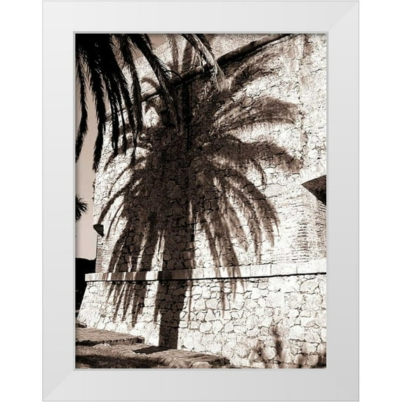 Blue, Cyril 19x24 White Modern Wood Framed Museum Art Print Titled - Palm Shadow, Antibes