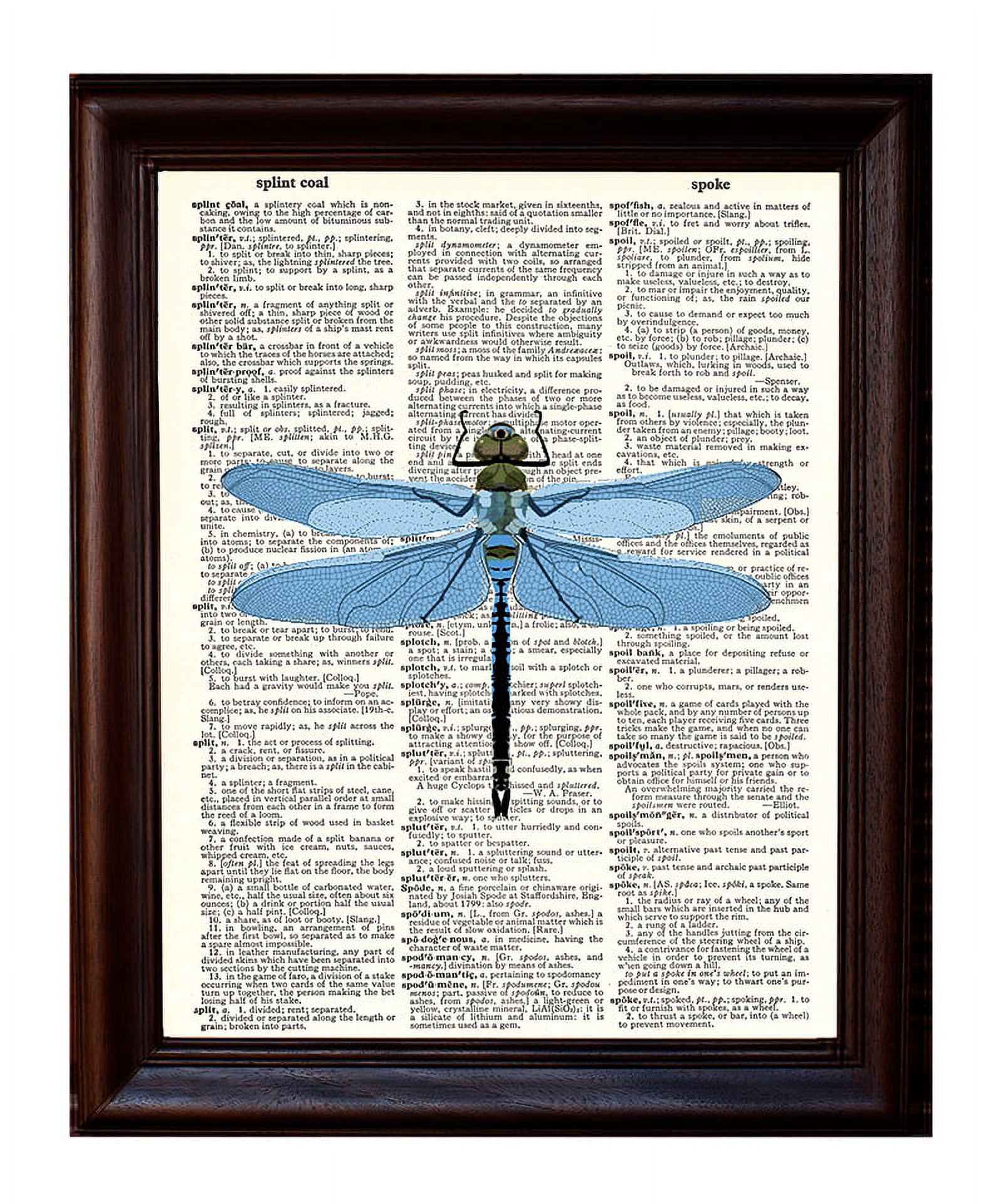 Blue Dragonfly - Dictionary Art Print Printed On Authentic Vintage ...