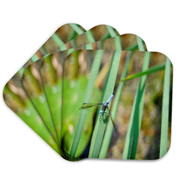 3drose, Blue Dragonfly on a Leaf, Set of 4 Coasters - Soft