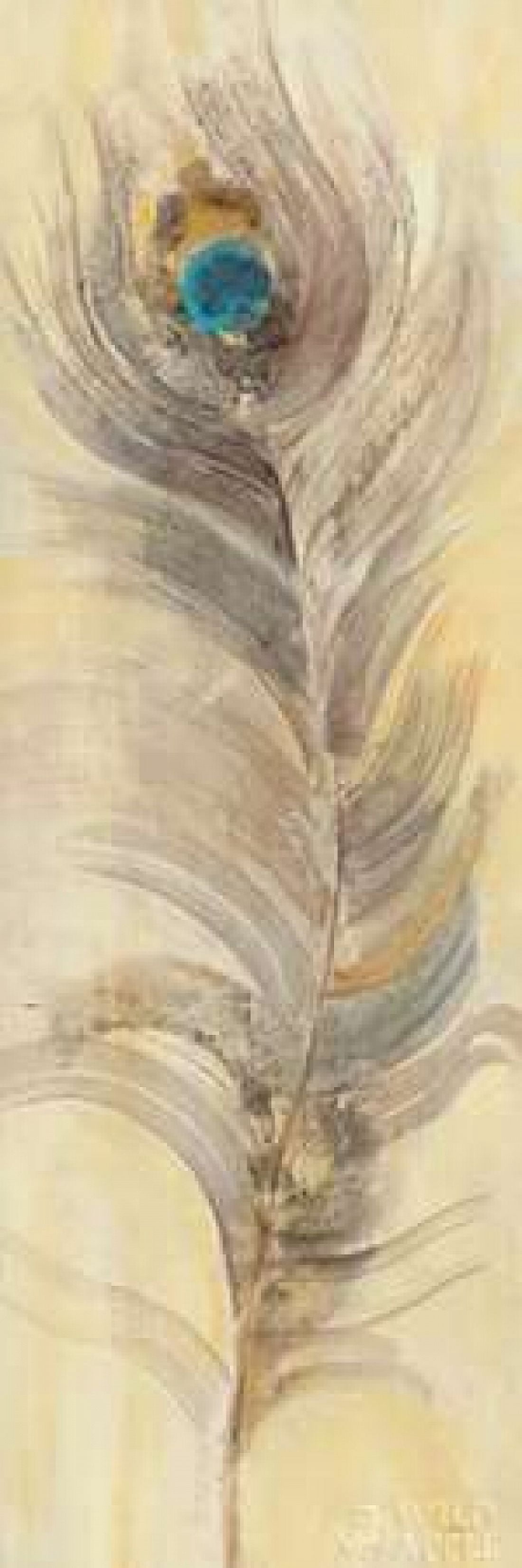 Blue Eyed Feathers II Canvas Art - Albena Hristova (8 x 24)