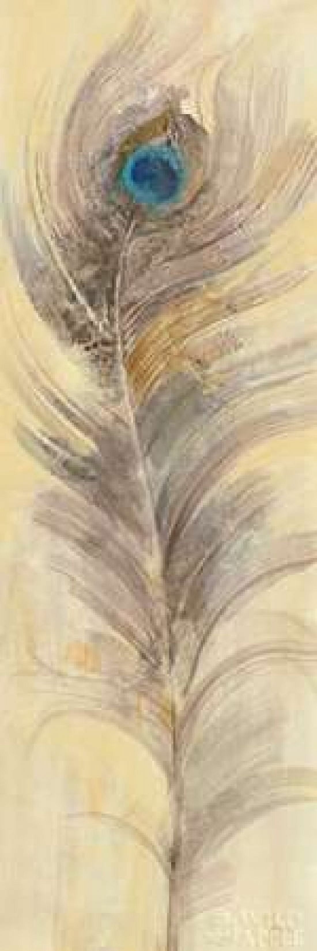 Blue Eyed Feathers III Canvas Art - Albena Hristova (8 x 24)