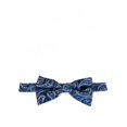 thumbnail image 1 of Blue Fashionable Paisley Bow Tie, 1 of 1