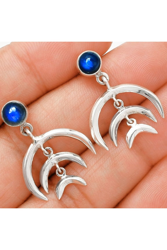 Blue Fire Labradorite 925 Sterling Silver Earrings Jewelry E-1249 AGE1004_F
