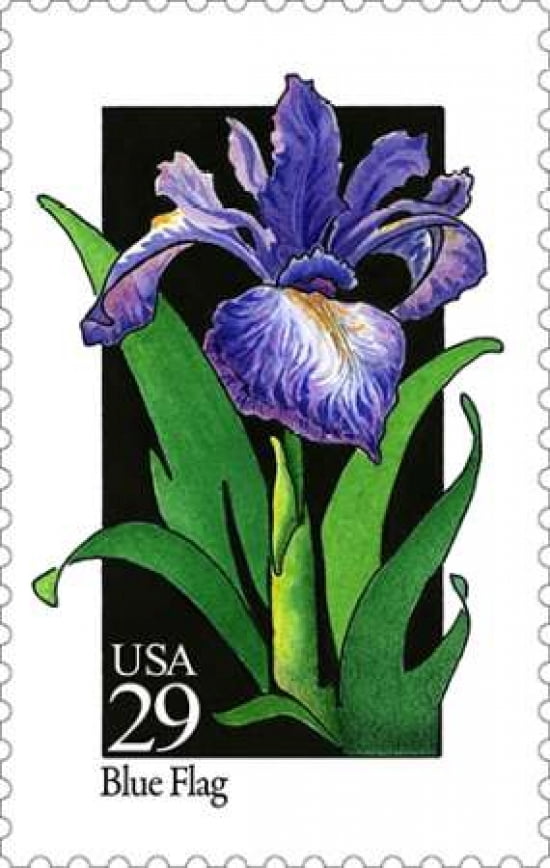 Blue Flag Canvas Art - US POSTAL SERVICE (24 x 36)