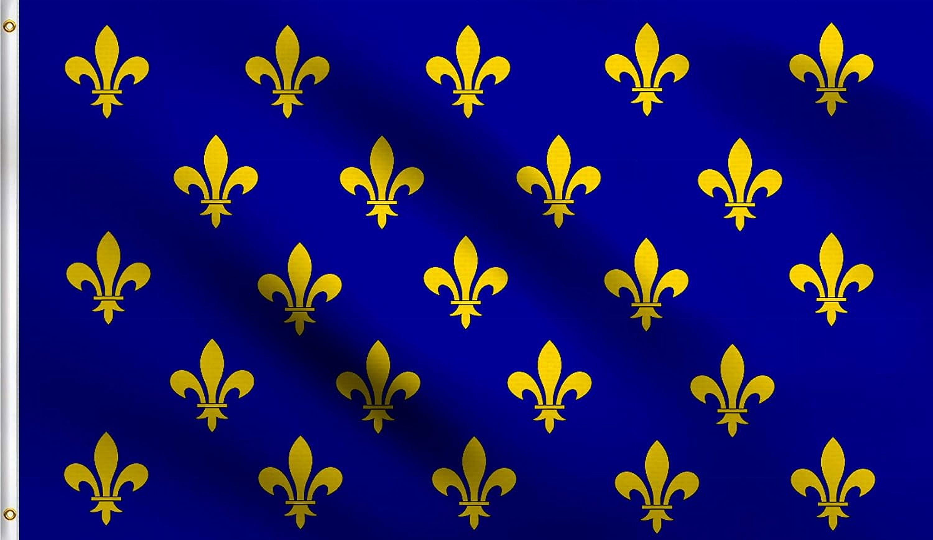 Blue Fleur De Lis Many France Royal Muti Flag 4.85x8 ft ,100% Polyester ...