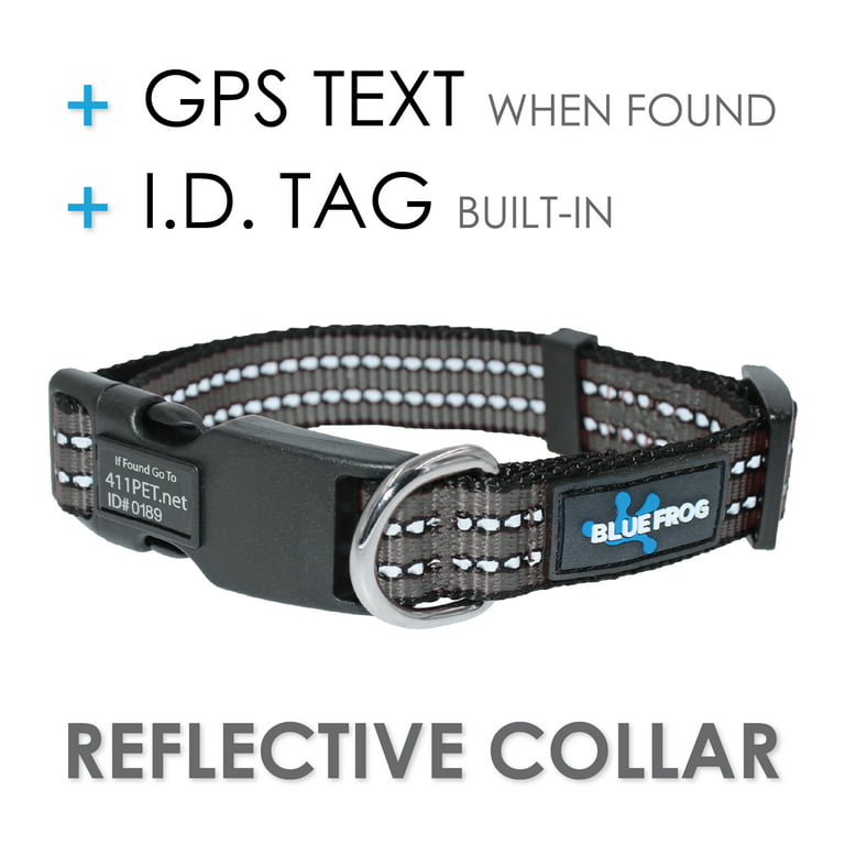 GPS dog collar