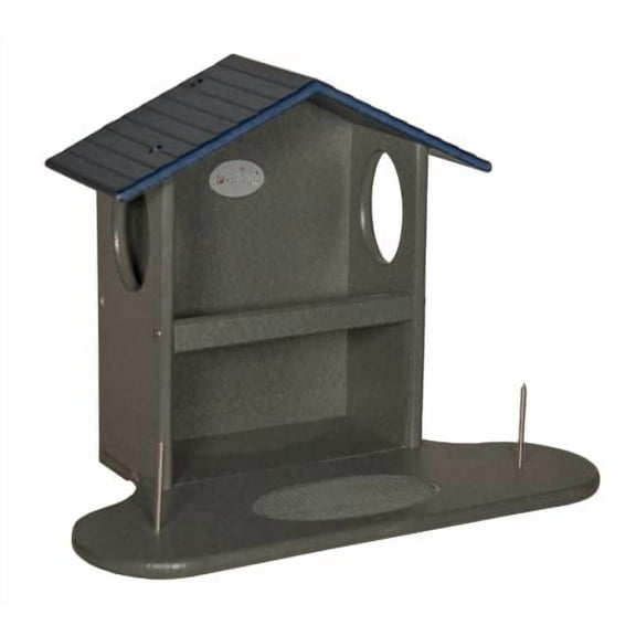 Blue/Gray Small Squirrel Snack Station, JCs Wildlife
