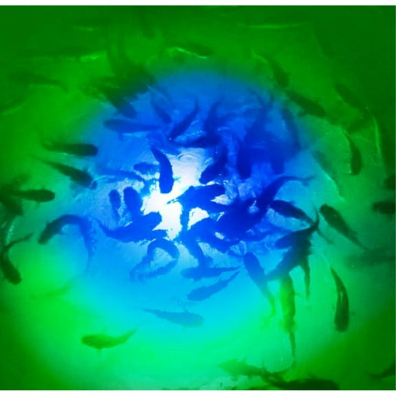 Blue/Green Mega-Watt Iris Underwater LED Lighting System (120 foot power cord)