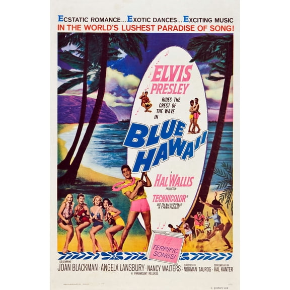 Blue Hawaii Mini Movie Poster 11inx17in in Mail/storage/gift tube 11x17 poster
