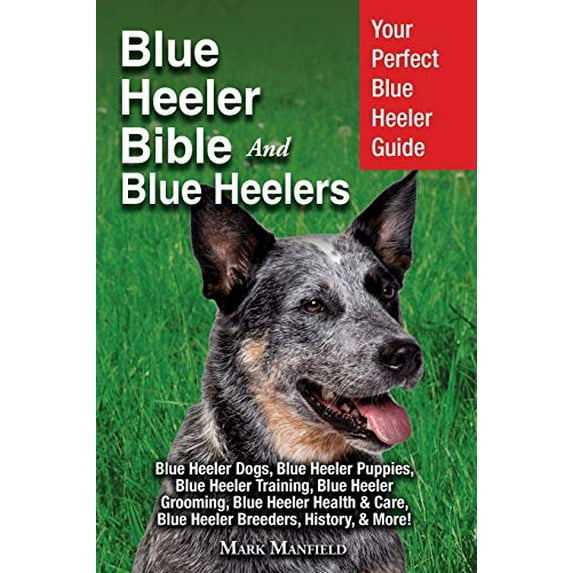 Pre-Owned Blue Heeler Bible And Blue Heelers: Your Perfect Blue Heeler Guide Blue Heeler Dogs, Blue Heeler Puppies, Blue Heeler Training, Blue Heeler Grooming, (Paperback) 1911355945 9781911355946