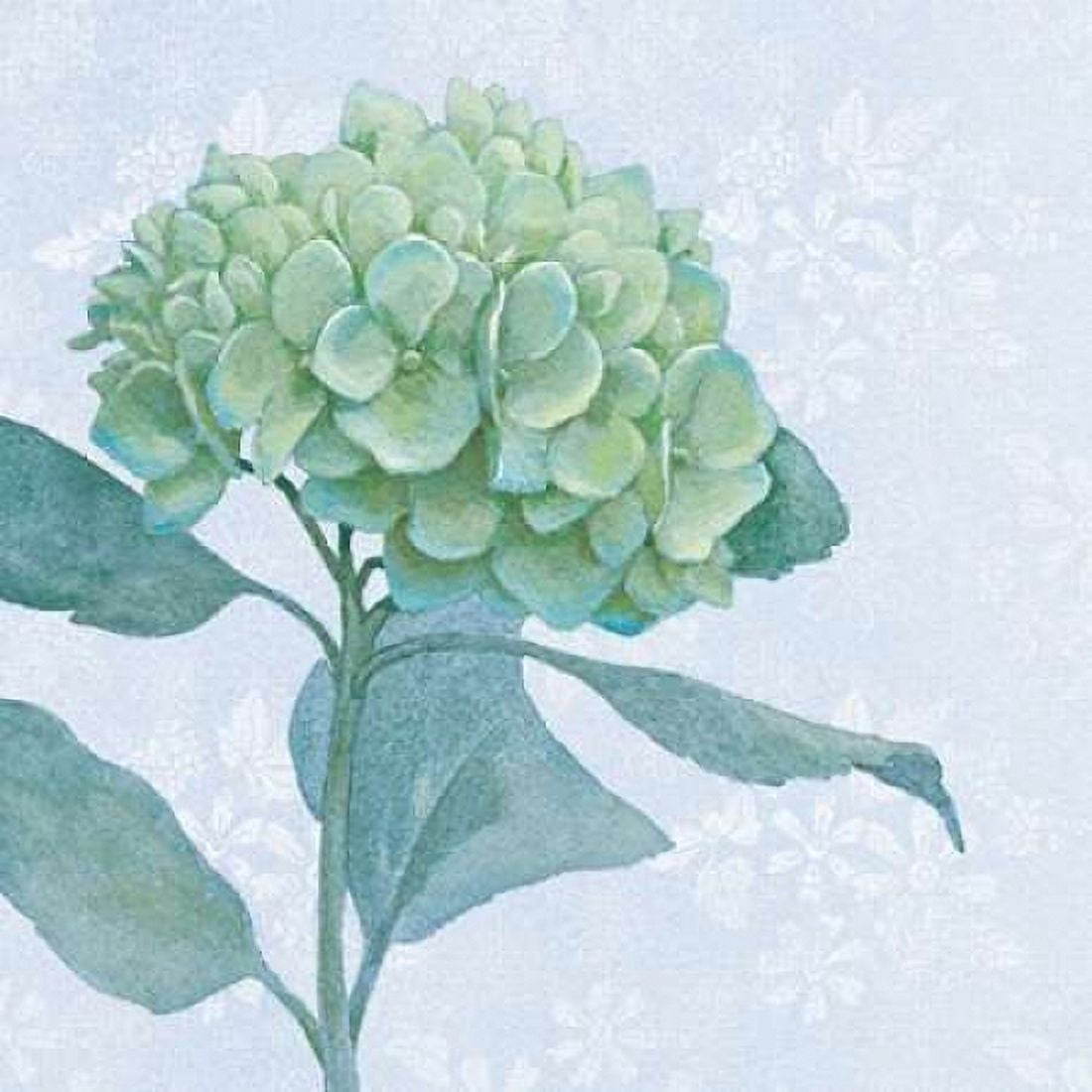 Blue Hydrangea I Canvas Art - Beth Grove (24 x 24)