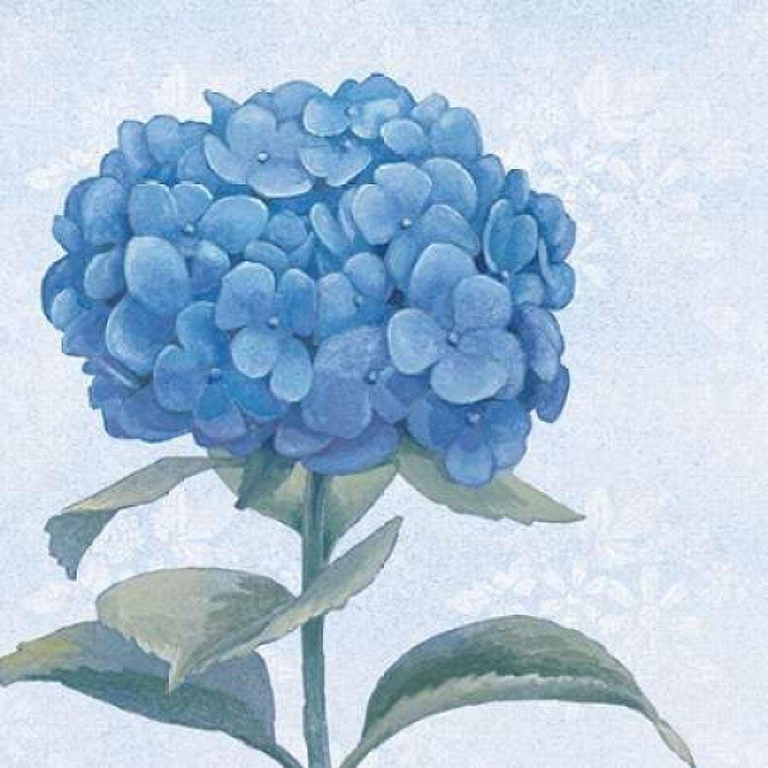 Blue Hydrangea III Canvas Art - Beth Grove (24 x 24)