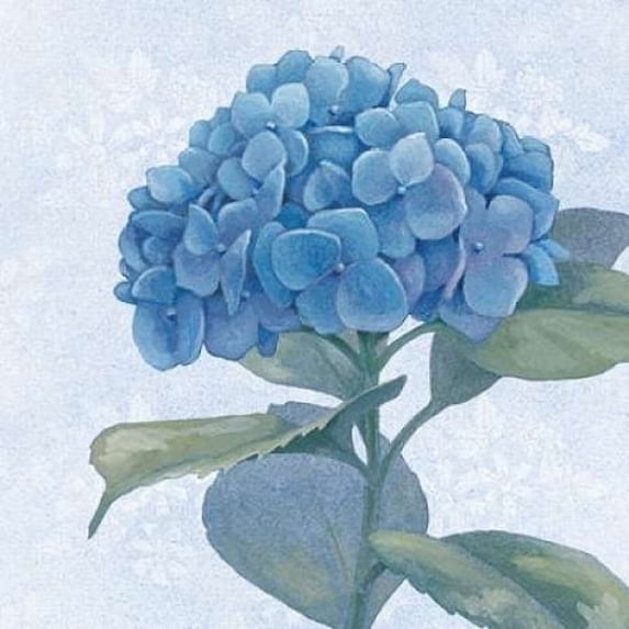 Blue Hydrangea IV Poster Print by Beth Grove