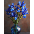 thumbnail image 1 of Blue Iris Floral Canvas Print Wall Art for Living Room Bedroom Dining Room Hallway Kitchen Decor, 1 of 8