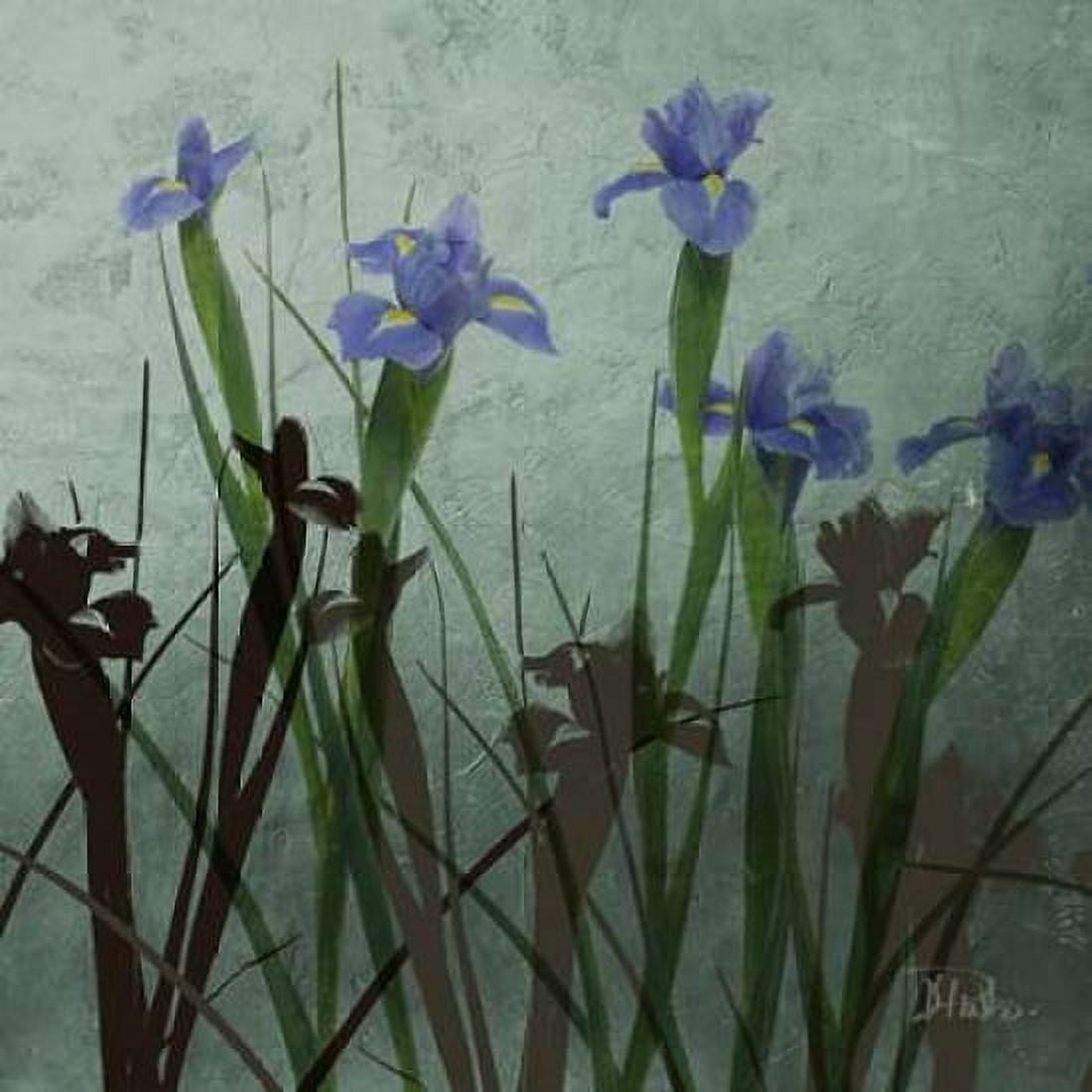 Blue Irises I Canvas Art - Patricia Pinto (24 x 24)