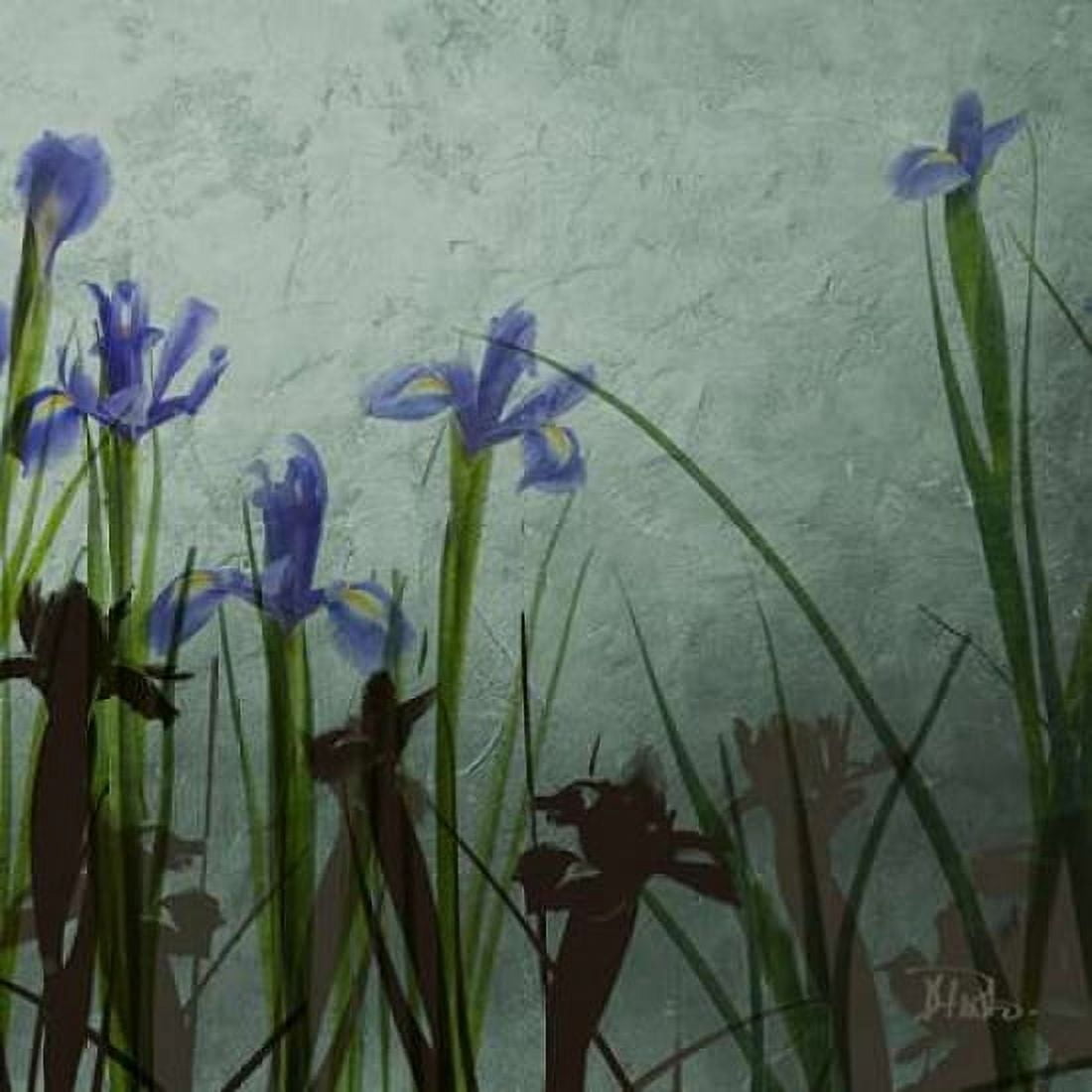 Blue Irises II Canvas Art - Patricia Pinto (24 x 24)