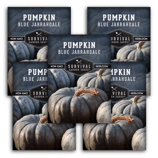 Blue Jarrahdale Pumpkin Vegetable Seeds - Full Sun Annual (5 Pack ...