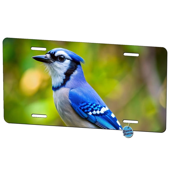 Blue Jay Backyard Bird Metal Novelty License Plate