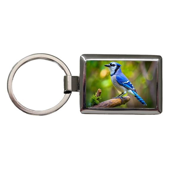 Blue Jay Backyard Bird Metal Rectangle Keychain