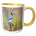 thumbnail image 1 of 3drose, Blue Jay Bird, Adults, Autumn, Texas, Usa - Us44 Ldi0795 - Larry Ditto, 15oz Two-tone Yellow Mug, 1 of 6