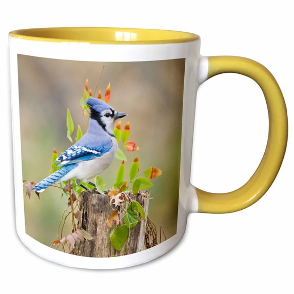 3drose, Blue Jay Bird, Adults, Autumn, Texas, Usa - Us44 Ldi0795 - Larry Ditto, 15oz Two-tone Yellow Mug