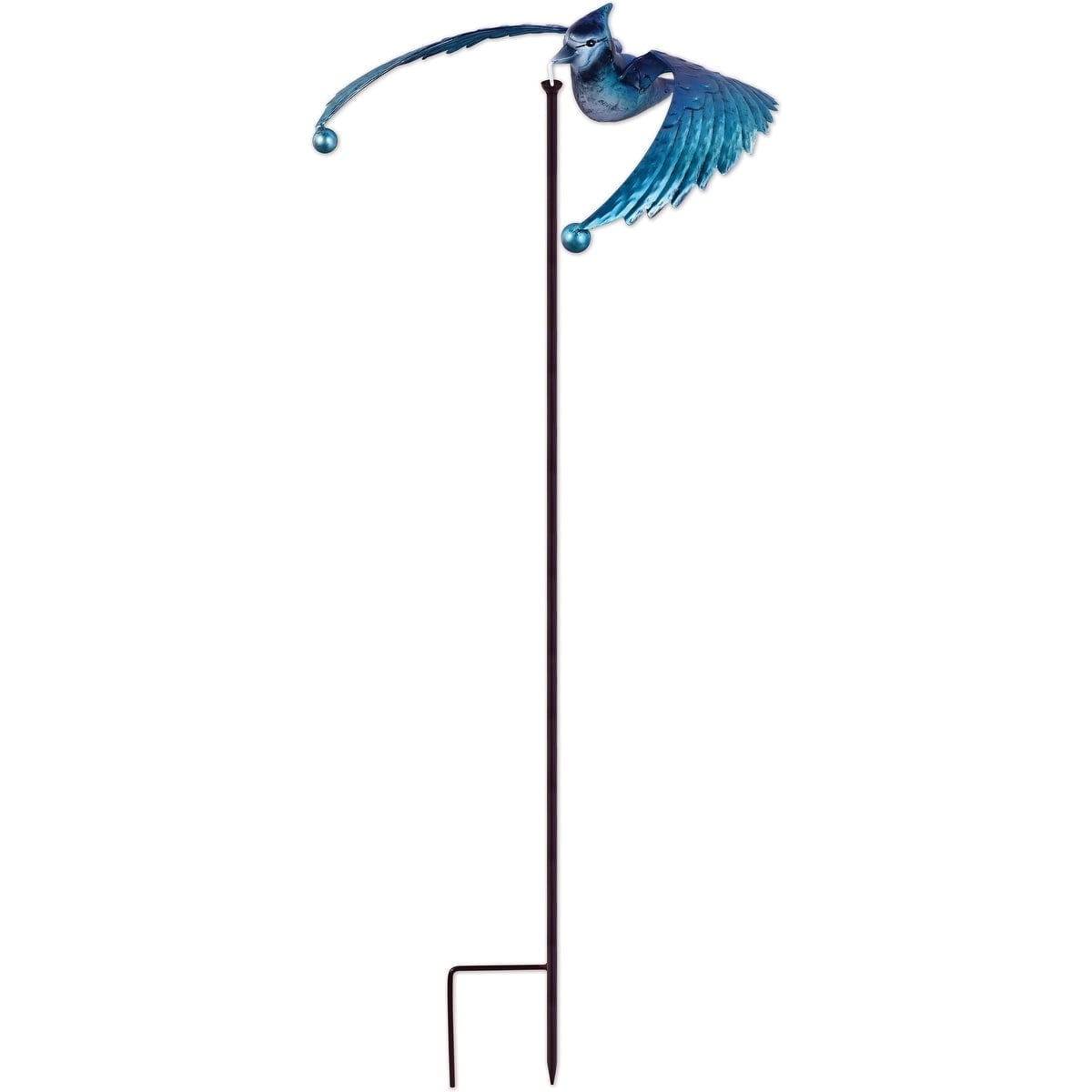 Blue Jay Bird Balance Drifter
