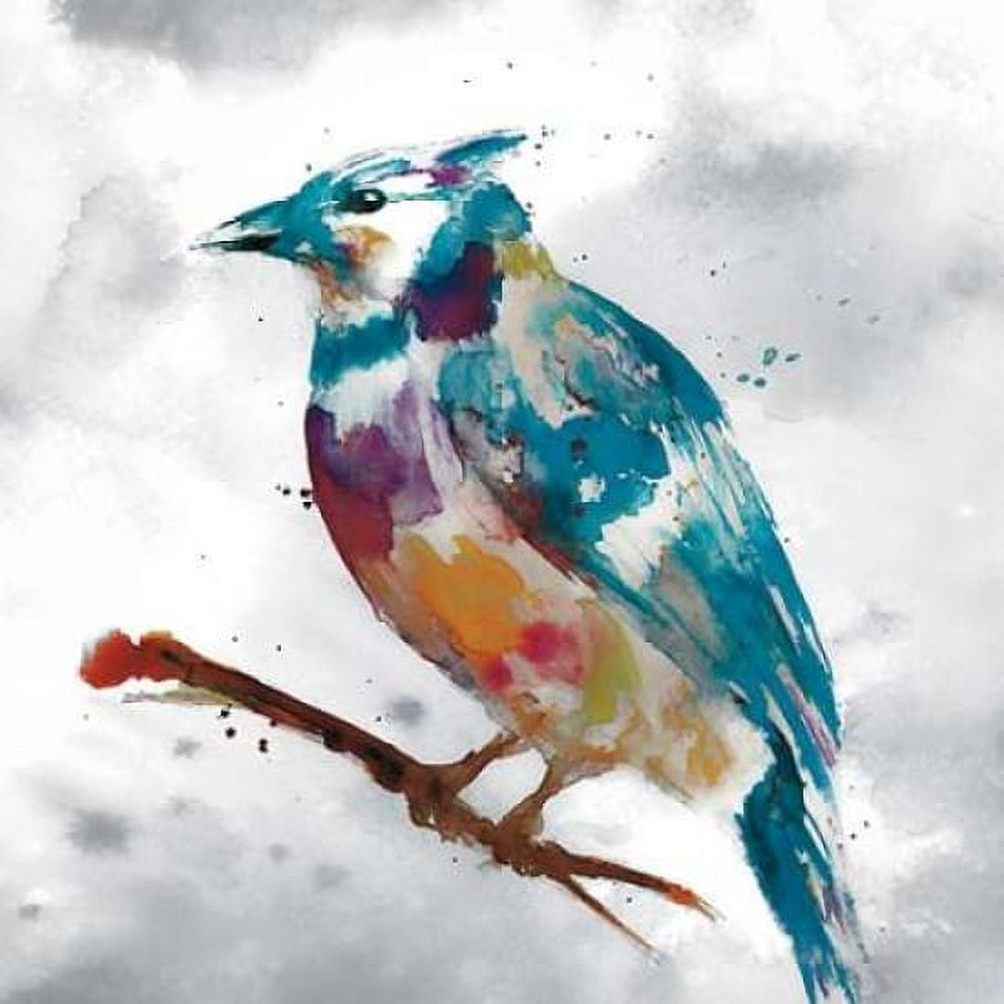 Blue Jay Canvas Art - Stephanie Fontaine (24 x 24)