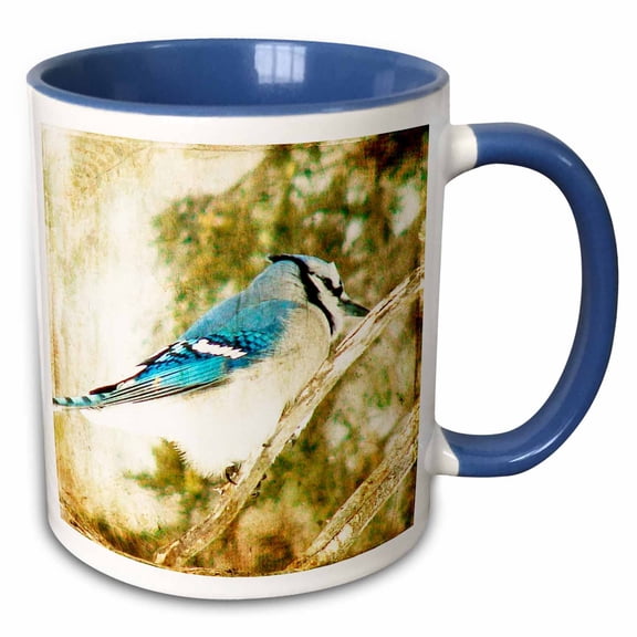 3drose, Blue Jay Grunge by Angelandspot, 15oz Two-tone Blue Mug