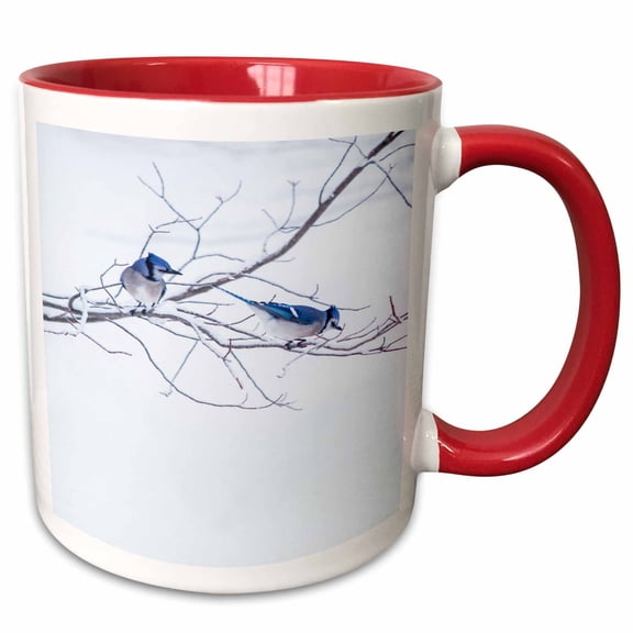 3drose, Blue Jays Bird Watching, 15oz Two-tone Red Mug