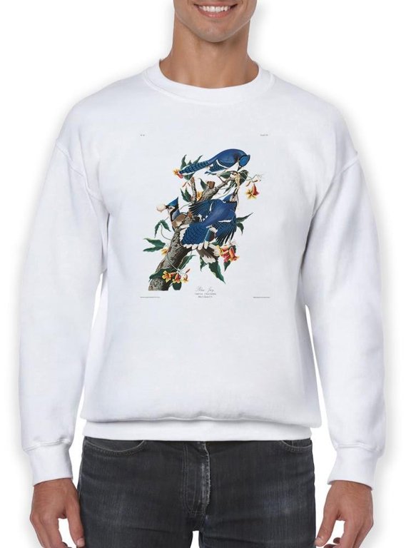 Blue Jays I Sweatshirt Men -John James Audubon Designs, Male 3X-Large