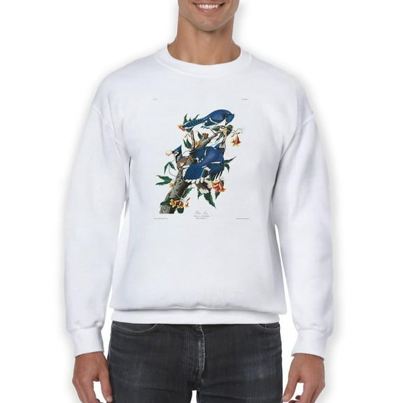 Blue Jays I Sweatshirt Men -John James Audubon Designs, Male 5X-Large