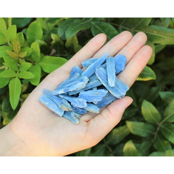 Blue Kyanite Blades & Pieces, 2 oz Lot 0.75" - 1.5" (Raw Rough Natural Kyanite)