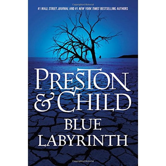 Pre-Owned Blue Labyrinth (Hardcover) 1455525898 9781455525898