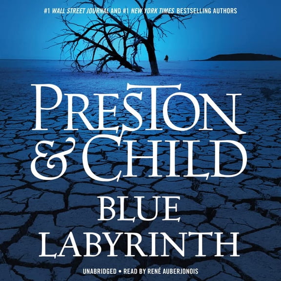 Pre-Owned Blue Labyrinth Paperback