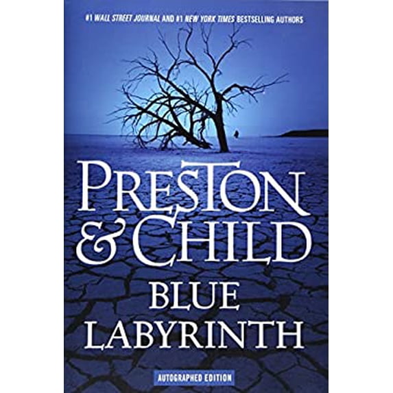 Pre-Owned Blue Labyrinth (Hardcover) 1455559458 9781455559459