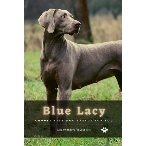 Blue Lacy: Choose best dog breeds for you (Paperback)