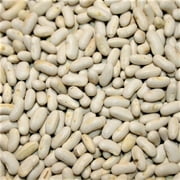 Blue Lake Bush Bean Seeds - 100 Count Seed Pack - A Tasty, Heirloom Bean That Produces Huge yields - Country Creek LLC
